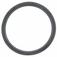 O-Ring/Thermostat    #10-1546